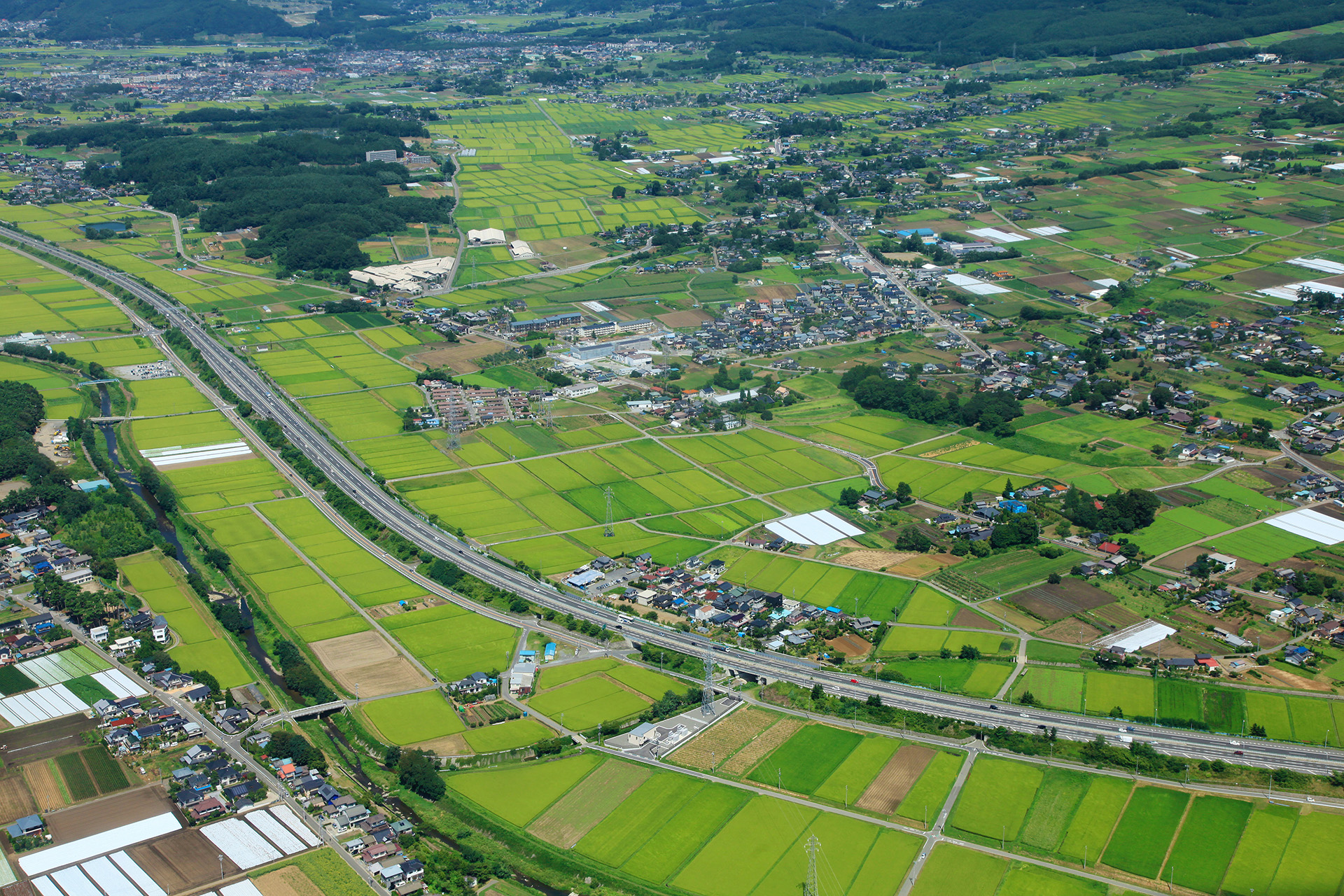 田園の中の道路