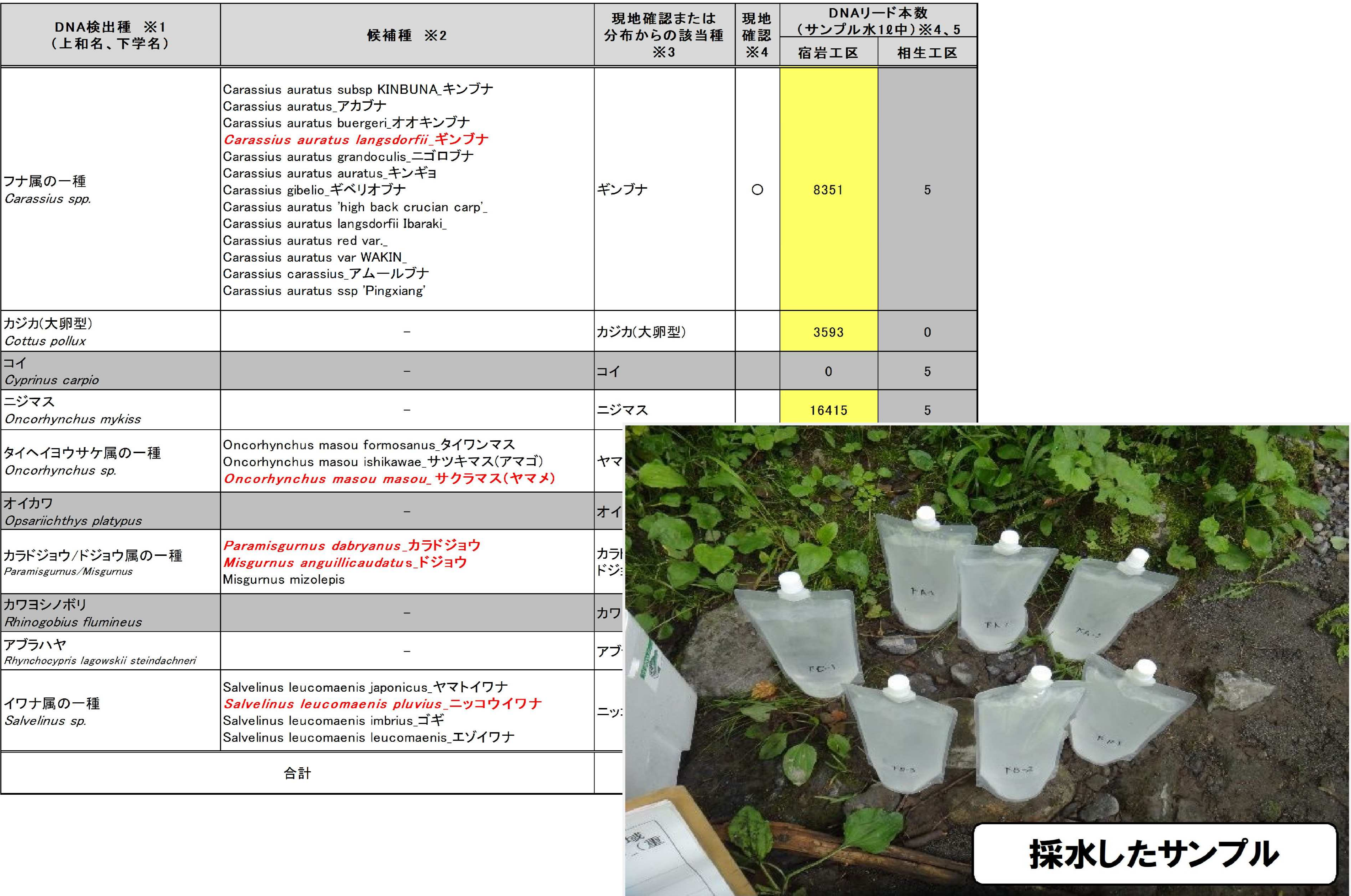 環境DNA